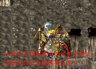 ˽GM汾οٽBOSSȡϡװ