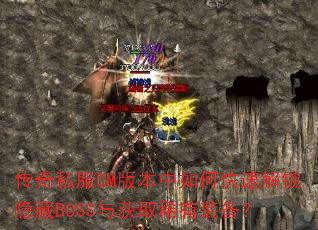 ˽GM汾οٽBOSSȡϡװ