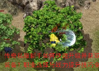 ����˽��������ο�����������ȡ����װ����ְҵѡ����ս����������ȫ����