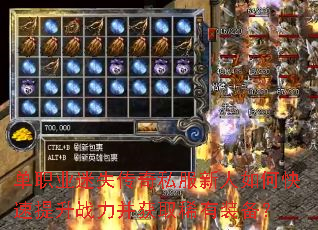 单职业迷失传奇私服新人如何快速提升战力并获取稀有装备? 单职业迷失传奇私服新人如何快速提升战力并获取稀有装备?