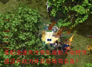 单职业迷失传奇私服新人如何快速提升战力并获取稀有装备? 单职业迷失传奇私服新人如何快速提升战力并获取稀有装备?
