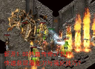 �¿�1.80��Ѫ����sf�������ٻ�ȡ��������ǿ�����ɣ�