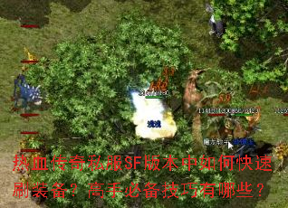 ��Ѫ����˽��SF�汾����ο���ˢװ�������ֱر���������Щ��