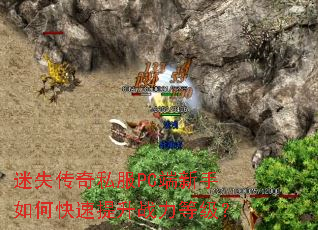 ��ʧ����˽��PC��������ο�������ս���ȼ���