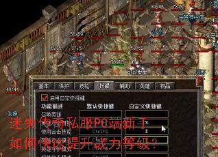 ��ʧ����˽��PC��������ο�������ս���ȼ���