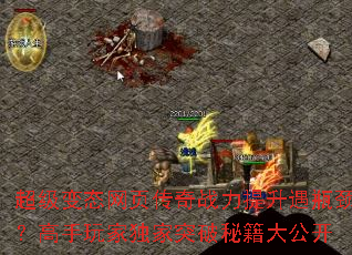 ������̬��ҳ����ս��������ƿ����������Ҷ���ͻ���ؼ��󹫿�