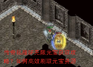 ����˽��SF����Ԫ����ȡ���ԣ���θ�ЧˢȡԪ����Դ