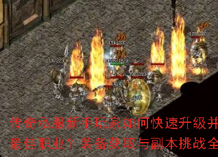 ����˽�����������ο���������ѡ�����ְҵ��װ����ȡ�븱����սȫ����