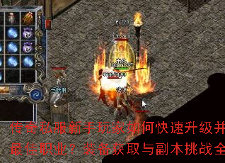 ����˽�����������ο���������ѡ�����ְҵ��װ����ȡ�븱����սȫ����