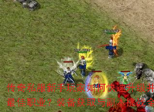 ����˽�����������ο���������ѡ�����ְҵ��װ����ȡ�븱����սȫ����