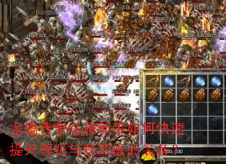 ���ڴ���˽��������ο��������ȼ����ȡ��Ʒװ����