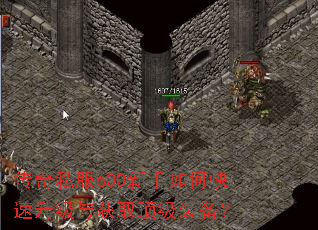 ����˽��600������ο����������ȡ����װ����