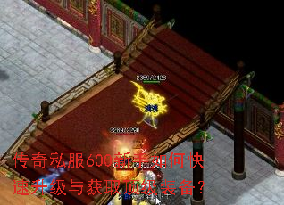 ����˽��600������ο����������ȡ����װ����