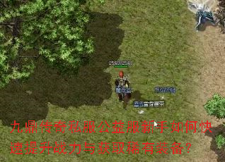 �Ŷ�����˽�������������ο�������ս�����ȡϡ��װ����