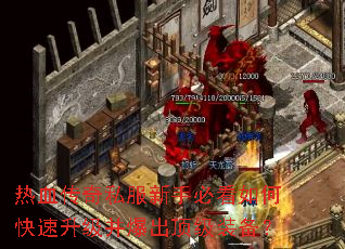 ��Ѫ����˽�����ֱؿ���ο�����������������װ����