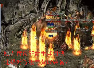 �տ�����SF������ο��������ȼ����ȡװ����