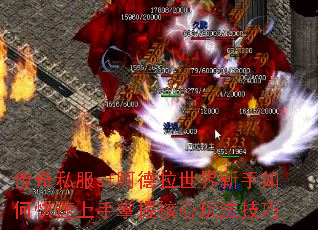 ����˽��sf����������������ο����������պ����淨����