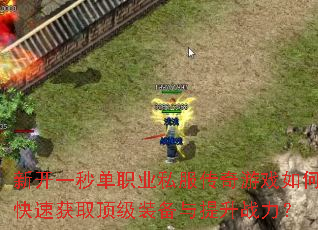 �¿�һ�뵥ְҵ˽��������Ϸ��ο��ٻ�ȡ����װ��������ս����