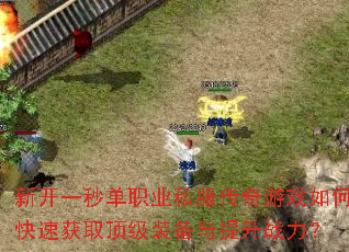 �¿�һ�뵥ְҵ˽��������Ϸ��ο��ٻ�ȡ����װ��������ս����