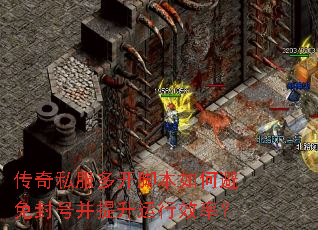 ����˽���࿪�ű���α����Ų���������Ч�ʣ�