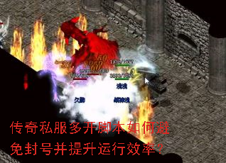 ����˽���࿪�ű���α����Ų���������Ч�ʣ�