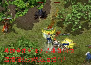 英雄合击新服开荒期如何快速组建强力战法道组合? 英雄合击新服开荒期如何快速组建强力战法道组合?