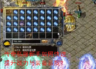 ����˽��������ο�������ս����װ��Ʒ�ʣ�