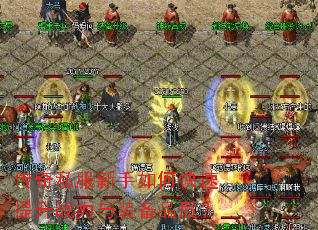 ����˽��������ο�������ս����װ��Ʒ�ʣ�