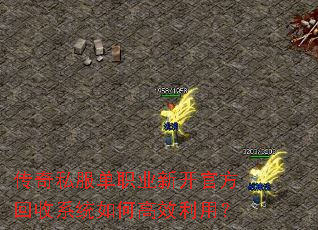 传奇私服单职业新开官方回收系统如何高效利用? 传奇私服单职业新开官方回收系统如何高效利用?