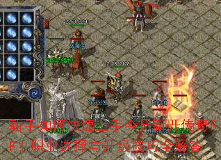 ������ο������ֽ����¿�����SF��ְҵѡ������������ȫ���