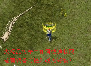 ��Ʒ��������ο��ٻ�ȡϡ��װ��������ս���ȼ���