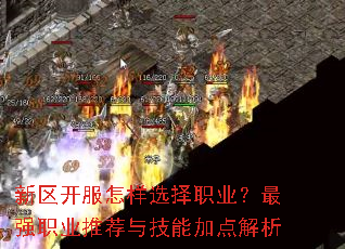 新区开服怎样选择职业?最强职业推荐与技能加点解析 新区开服怎样选择职业?最强职业推荐与技能加点解析