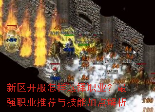 新区开服怎样选择职业?最强职业推荐与技能加点解析 新区开服怎样选择职业?最强职业推荐与技能加点解析