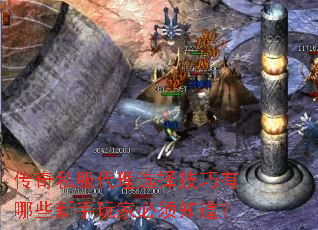 ����˽������ѡ��������Щ������ұ���֪����