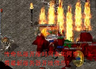 ����˽������ʱ�����β鿴���·�����������Ϣ��