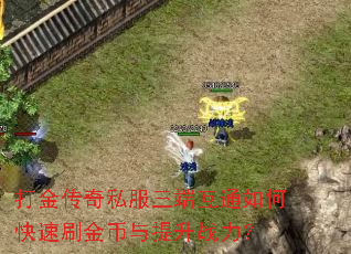 打金传奇私服三端互通如何快速刷金币与提升战力? 打金传奇私服三端互通如何快速刷金币与提升战力?
