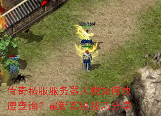 传奇私服服务器人数如何快速查询?最新实用技巧分享 传奇私服服务器人数如何快速查询?最新实用技巧分享