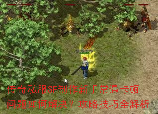 传奇私服SF制作新手常遇卡顿问题如何解决?攻略技巧全解析 传奇私服SF制作新手常遇卡顿问题如何解决?攻略技巧全解析