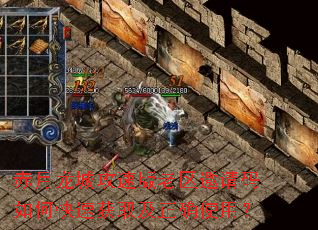 赤月龙城攻速版老区邀请码如何快速获取及正确使用? 赤月龙城攻速版老区邀请码如何快速获取及正确使用?