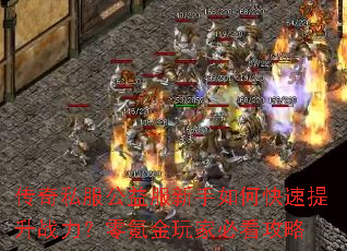 ����˽�������������ο�������ս������봽���ұؿ�����