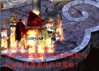 ����˽���������ɼ��ܴ�����װ��ѡ������Щ��Ч���ԣ�