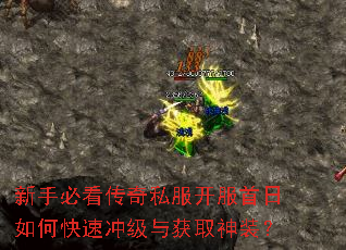 ���ֱؿ�����˽������������ο��ٳ弶���ȡ��װ��