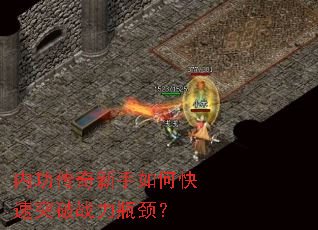 �ڹ�����������ο���ͻ��ս��ƿ����