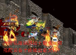 ����˽������սʿְҵ��δ���װ�����������󻯣�