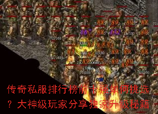 传奇私服排行榜前十强如何挑选?大神级玩家分享独家升级秘籍 传奇私服排行榜前十强如何挑选?大神级玩家分享独家升级秘籍