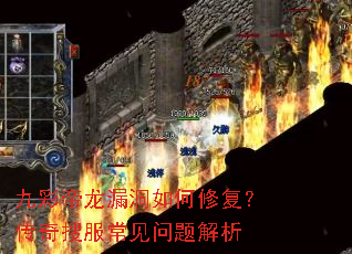 �Ųʵ���©������޸��������ѷ������������