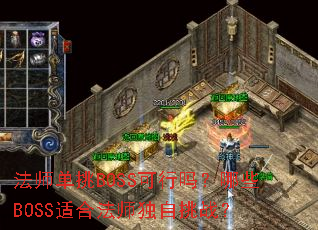 ��ʦ����BOSS��������ЩBOSS�ʺϷ�ʦ������ս��