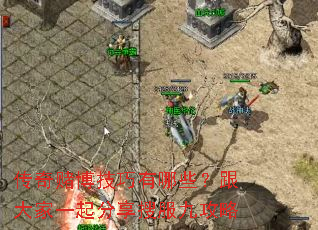 ����Ĳ���������Щ�������һ������ѷ��Ź���