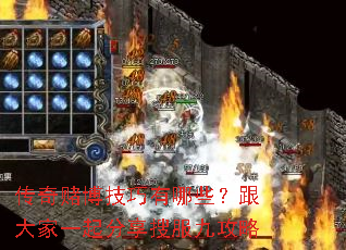 ����Ĳ���������Щ�������һ������ѷ��Ź���