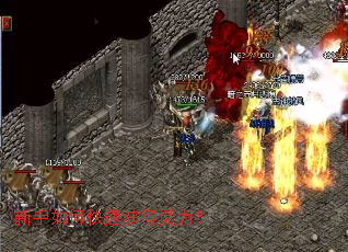 ������ο��ٻ��������